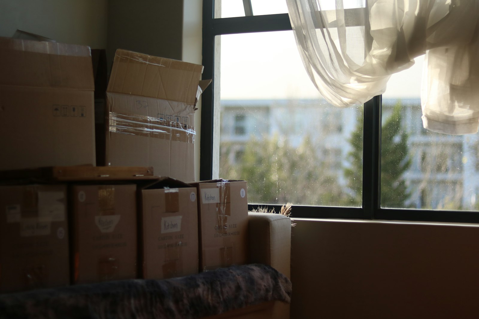 A quiet, sunlit room mid-move — boxes packed and ready